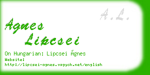 agnes lipcsei business card